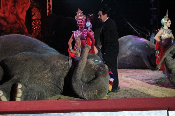 Krone2011   022.jpg